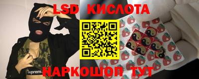 Альфа ПВП Краснознаменск