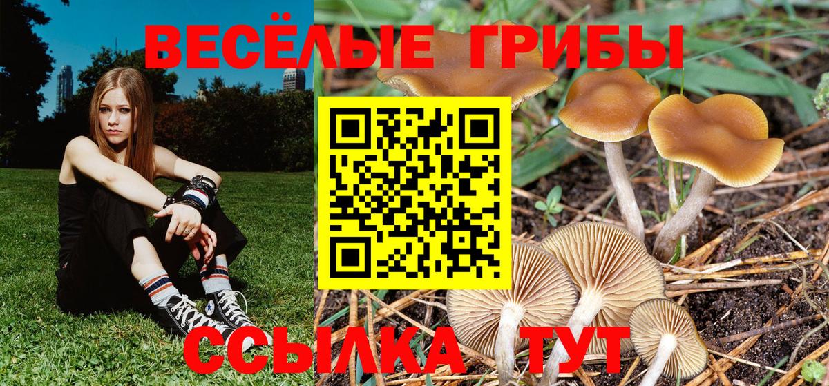 Чехов  Галлюциногенные грибы MAGIC MUSHROOMS  Вход с VPN 