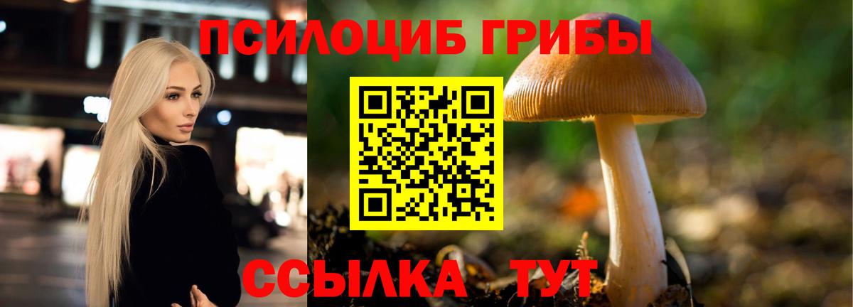 Псилоцибиновые грибы Psilocybine cubensis Чехов